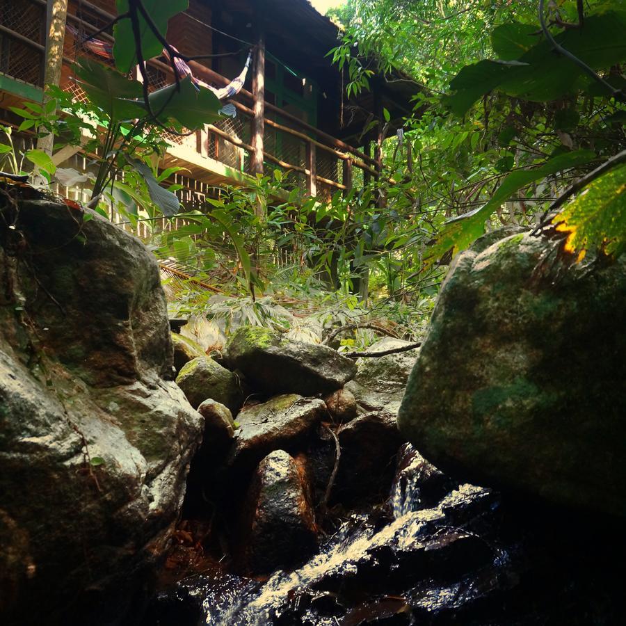Pousada Sitio Dos Tucanos Florianópolis Exterior foto